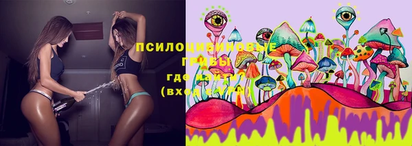 первитин Абинск