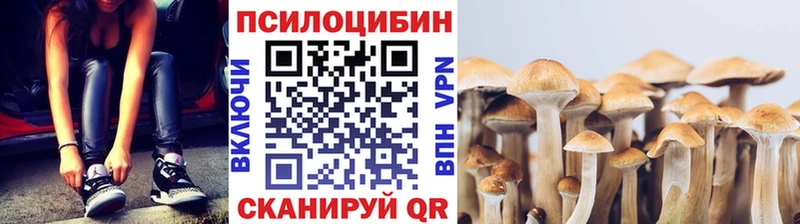 Псилоцибиновые грибы прущие грибы  Ангарск 